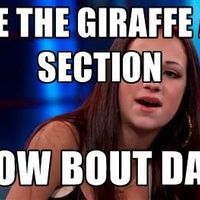 NWR: April the Giraffe