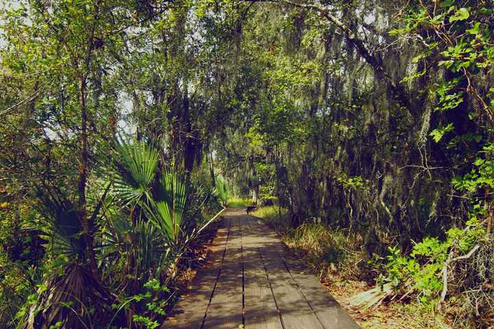 Honeymoon Where to?( In late December)