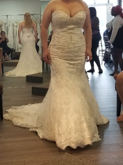 Did you say yes to the dress? 3
