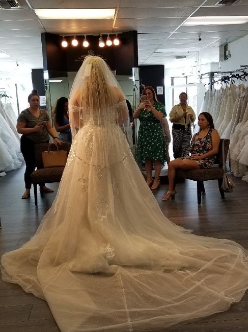 Did you say yes to the dress? 6