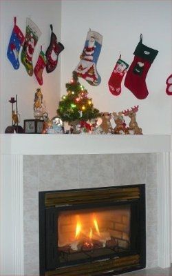 Decor fanatics ---non children friendly Christmas Trees