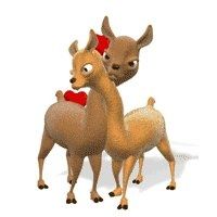 Why cant we all just get along?!