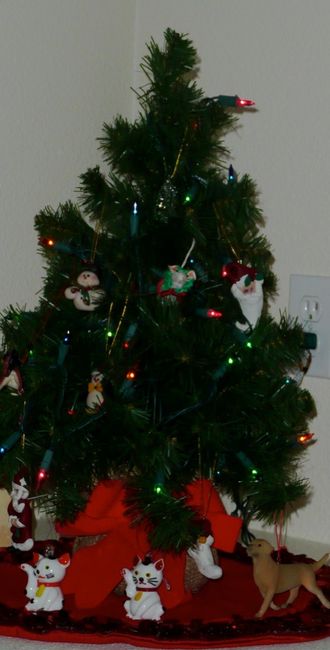 Christmas tree sadness