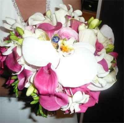 My Daughter is Now a Wife - Picture Heavy