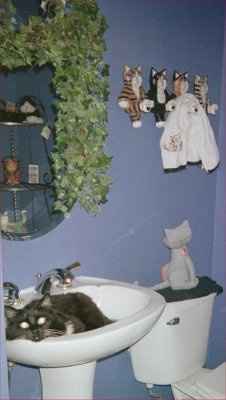 NWR... my cats.. do you have any pets?