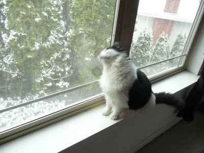 the weather outside is FRIGHTFUL!!!