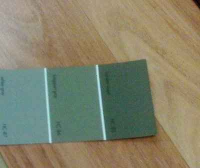 What color would you paint? (nwr)