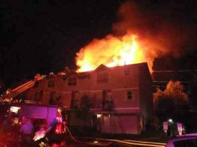 OMG Killer Bees... Have any of you....? ***UPDATE***