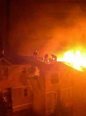 OMG Killer Bees... Have any of you....? ***UPDATE***