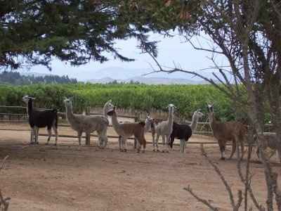 Why cant we all just get along?!