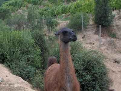 Why cant we all just get along?!