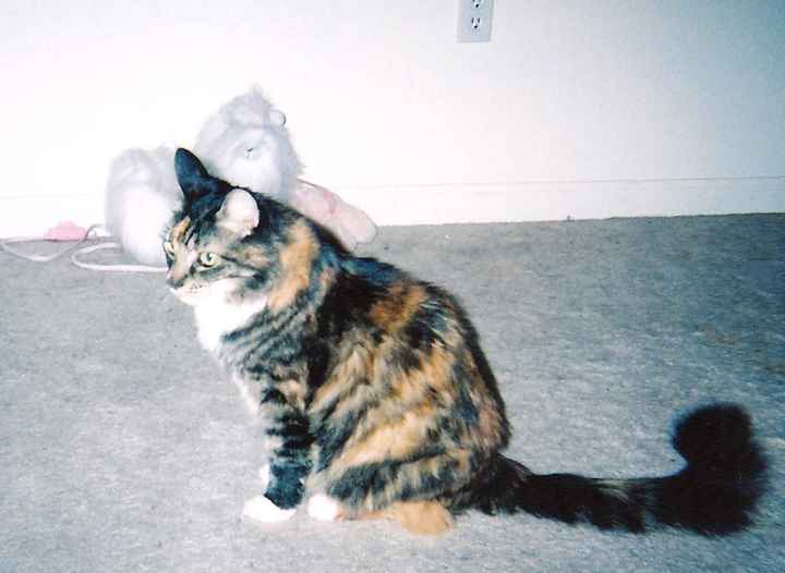 NWR: Update for those who remember my Step Mom and Cat issues