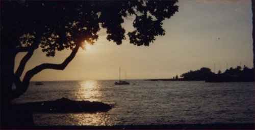 Hawaii Honeymoon - recommendations please!!!