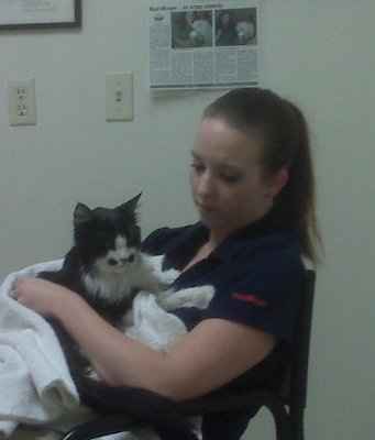 NWR - My Cat - Update