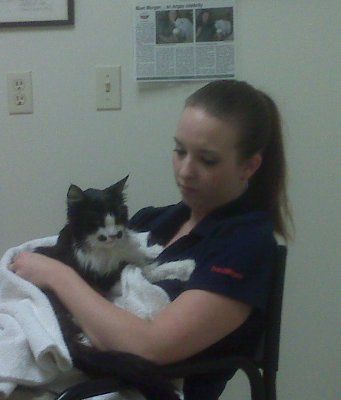 NWR - My Cat - Update