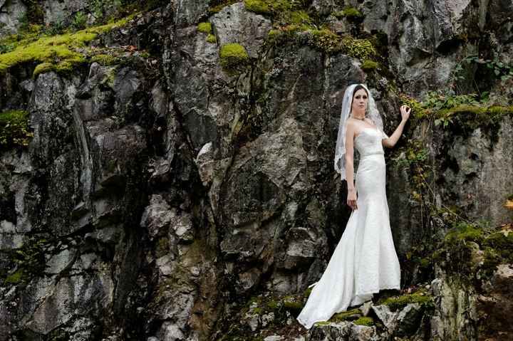 October/November Brides...let's see your dresses!