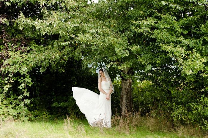 The big BAM (professional photos are in!!!!)