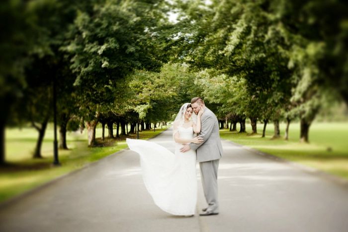 October/November Brides...let's see your dresses!