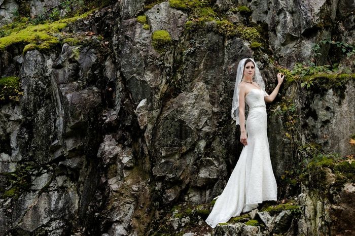 October/November Brides...let's see your dresses!