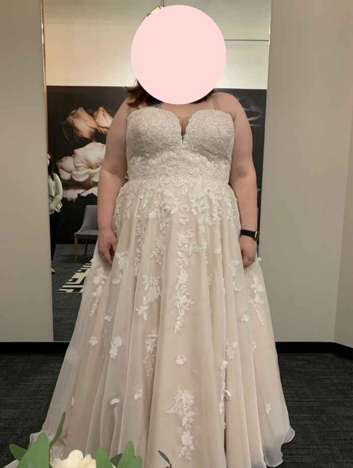 This plus size bride found her dress! - 1