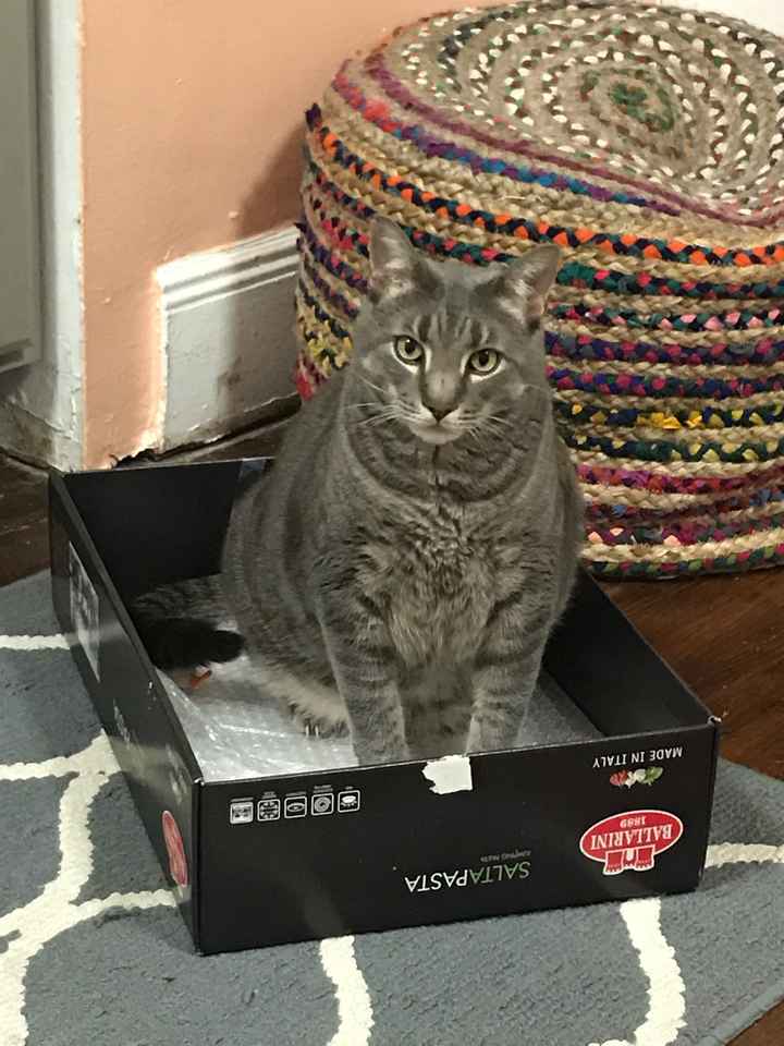 Strange Ways to Deal with Wedding Stress - 1