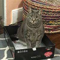 Strange Ways to Deal with Wedding Stress - 1