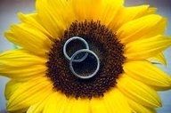 What does your ring Bearer Pillow, etc. look like???