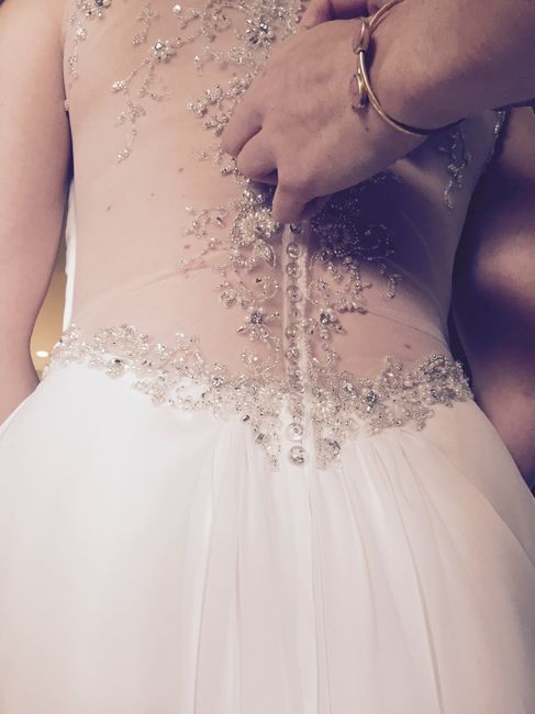 Sophia Tolli Buttons