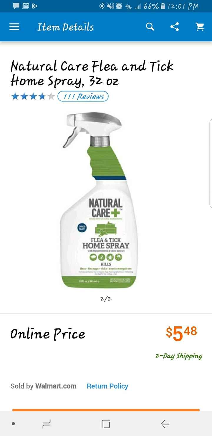 NWR: Damn fleas won't go away!