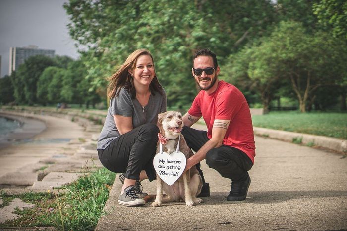 Engagement Photoshoot with our dog 3