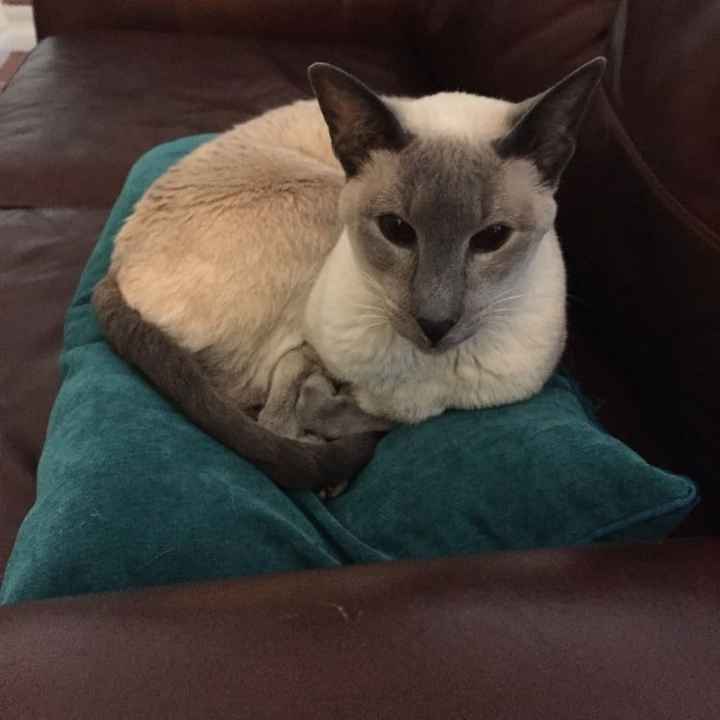 NWR Our newest addition to the family