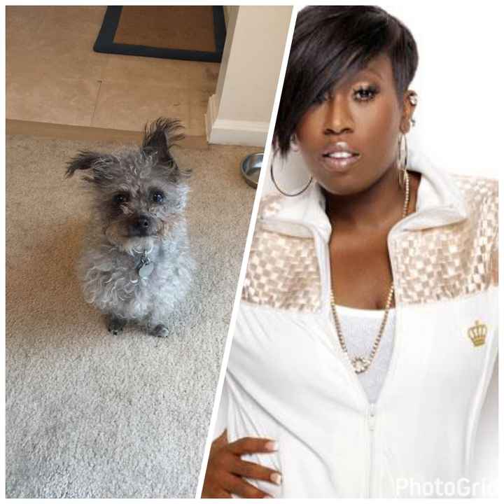 NWR: Pet Owners...Can we play a fun game? :D