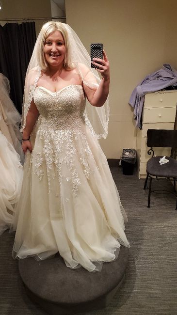 Bridal slip or no? And Hair styles? 2