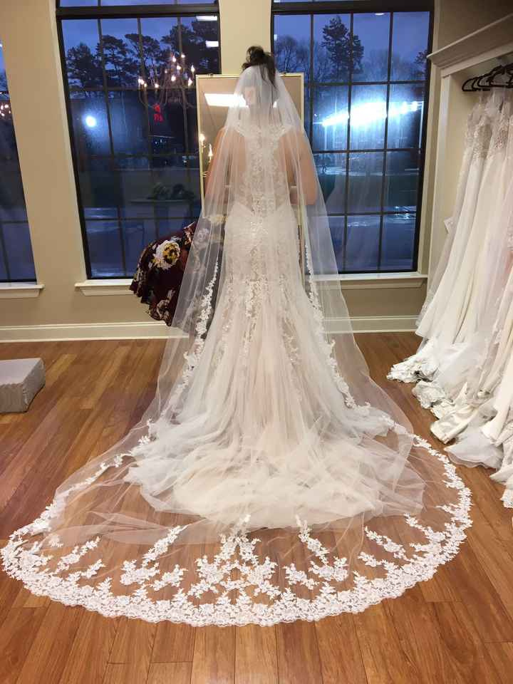 Show me your cathedral length veils - 1