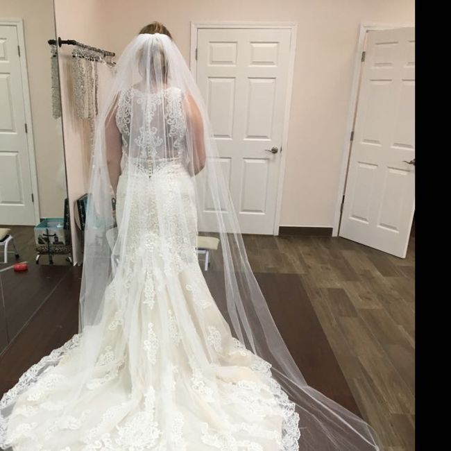 Veil - 1