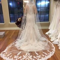 Show me your cathedral length veils - 1