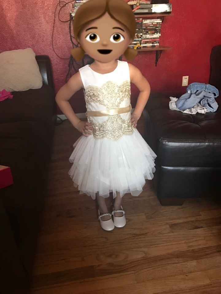 Flower Girl Dress