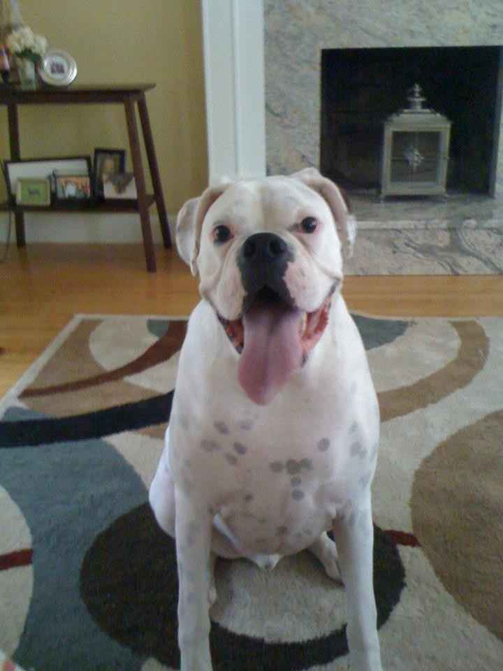 NWR: Lets See Your Fur Babies!