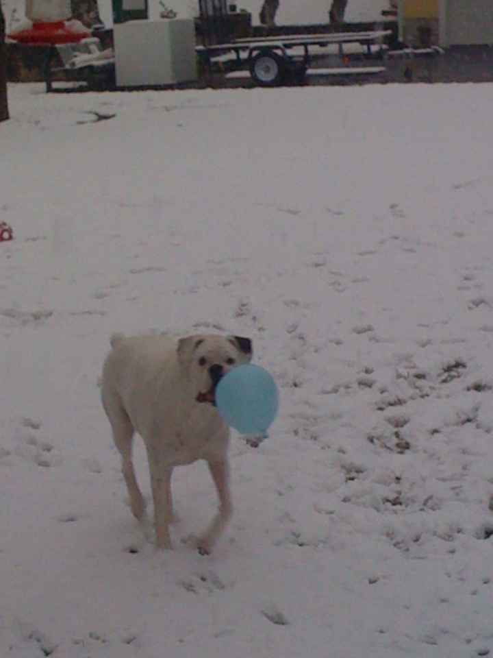 Weird animal behavior-NWR