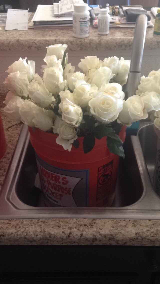 Sam's Club Flowers