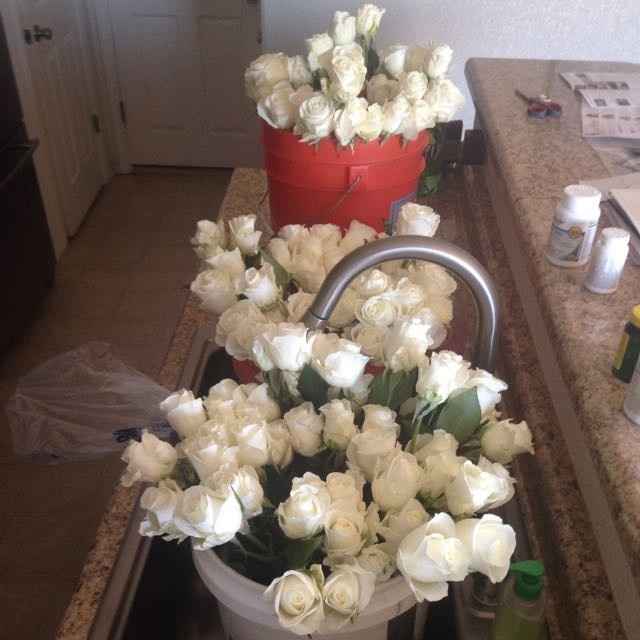 Sam's Club Flowers