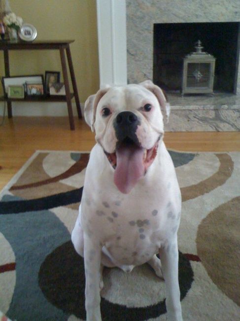 NWR: Lets See Your Fur Babies!