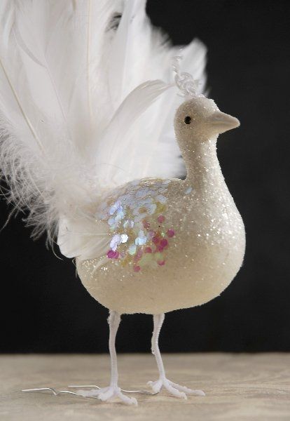 I love these so much! Peacock/Feather theme