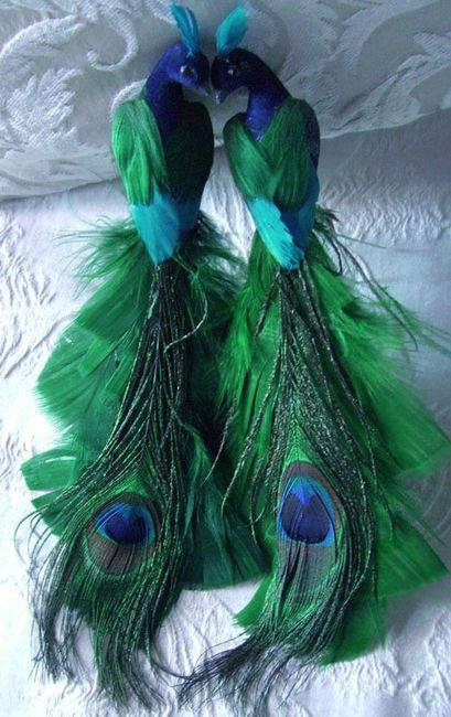 I love these so much! Peacock/Feather theme