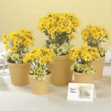 flowers or no flowers?