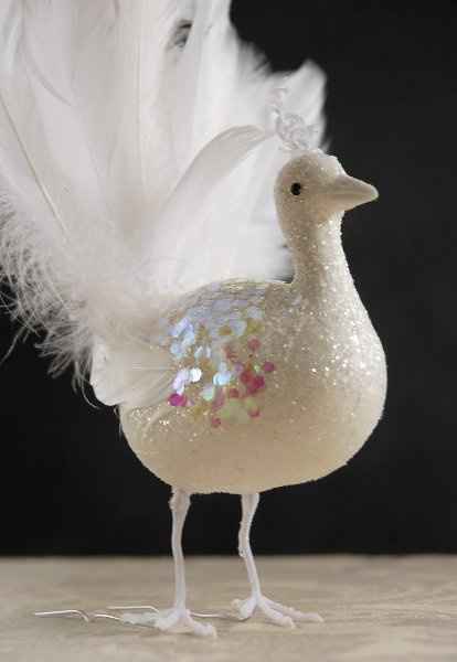 I love these so much! Peacock/Feather theme
