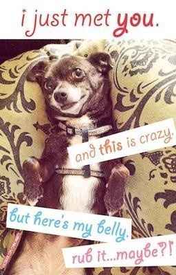 Need to feel warm and fuzzy? lol