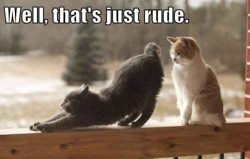 NWR - giggle break. lol