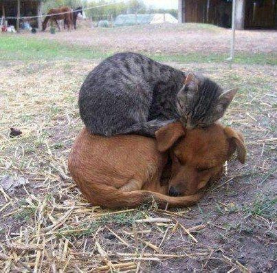 Need to feel warm and fuzzy? lol