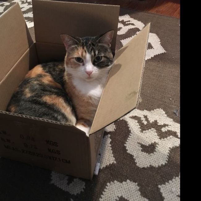 NWR: Show me your fur babies